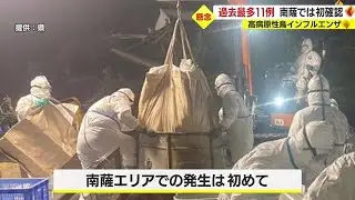 猛威振るう鳥インフルエンザ　南薩では初の確認　発生は過去最多の11例に上る　鹿児島（2022.12.19）