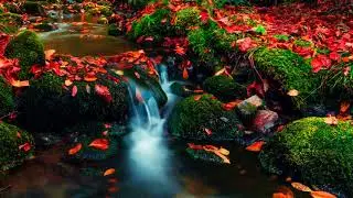 Time Is a River - Relaxing Music, Zen-Like Music