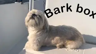 August barkbox 2019 unboxing!