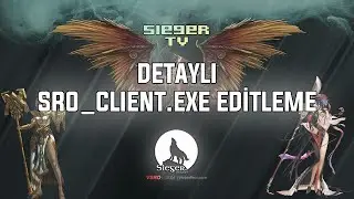 VSRO | sro_client.exe Editleme (Detaylı Anlatım)