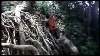 East Asia Campaign - EcoTourism