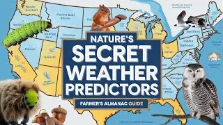 Nature's Secret Weather Predictors:The Farmer's Almanac Guide #us#WeatherPredictions #WinterForecast