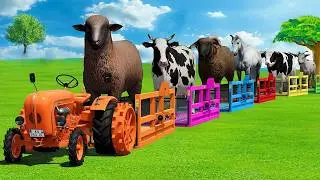 Long Slide Game With Elephant Gorilla Buffalo Hippopotamus Tiger - 3d Animal Game - Funny 3d Animals
