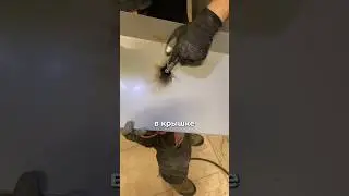 Необычная находка