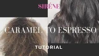 Caramel to Espresso: How to Tint-back to a Dimensional Brunette