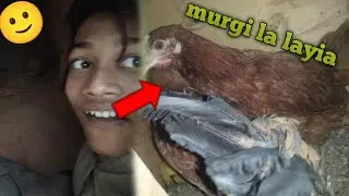 Alhamdulillah ma ne murgi la layia 