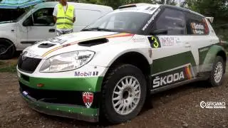Tribute Skoda Fabia S2000 Rally (pure sound)