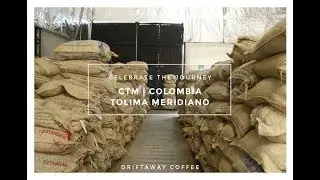 Colombia Tolima Meridiano - Sept / Oct 2019 Balanced profile