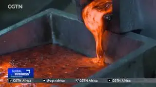 Tanzanian gov't to construct mineral concentrate smelter to discourage export of raw materials