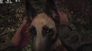 Blair Witch High Medium Settings [GTX 1060, i7 8750H]