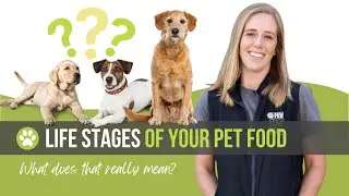 What are the life stages of your pet food? What do they really mean?