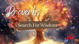 OTC | Proverbs Chapter 29 ***CLOSEOUT***