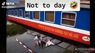 WhatsApp funny status@ Coffins Dancers, funeral dnacers