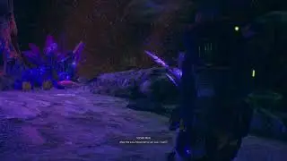 Outer World Charisma build
