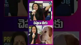 చెవుడా మీకు.. | Renu Desai Fires on Stray Dog Killings | Animal Safety Debate