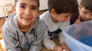 Կսուզվի,թե՞ կմնա ջրի երեսին
