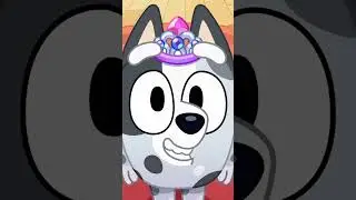 Muffin rejoint la biblioth&egrave;que 📚 | Bluey Fran&ccedil;ais Cha&icirc;ne Officielle