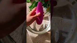 Satisfyer Curvy 3