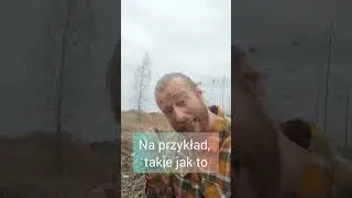 Gdzie spotkamy kleszcze? - KLESZCZE.INFO