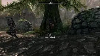 Skyrim Group Stream #1