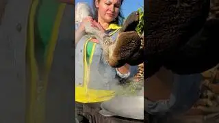 Сooked an OSTRICH LEG 🤯