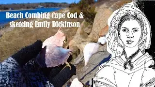 Beach Combing Cape Cod | drawing Literary Ladies | Slow Living Seaside Home | a day in the life