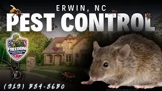 Erwin, NC Pest Control Service (919) 584-8650 - Freedom Wildlife Solutions & Pest Control