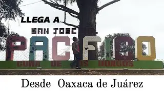 oaxaca de juarez, transporte a san jose del pacifico. san jose del pacifico oaxaca.