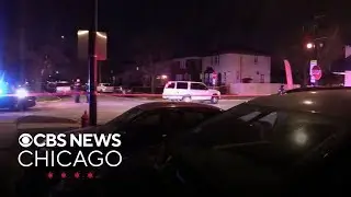 Cicero police officer shot; 2 people in custody
