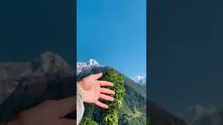 Peace🕊️❤️&zwj;🩹 #treksquad #trendingshorts #mountains #annapurna #waterfall #nature #nepal