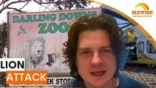 Big cat biologist on Queensland zoo's lion attack | Sunrise