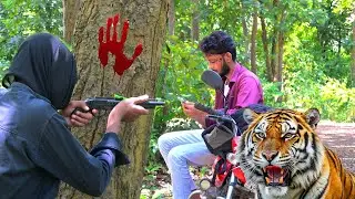 Tiger Attack || in jungle || #tiger #jungle #nature #adventure #reels #vfx #greenscreen #cute