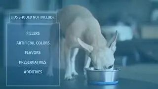 Wellness Simple Natural Dry Limited Ingredient Dog Food, Lamb & Oatmeal, | PuppySimply