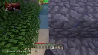 Playing Minecraft In 2019 on Ps4