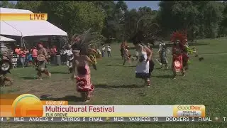 Elk Grove Multicultural Festival