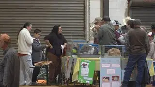 Annual North Alabama Agricultural Expo held at Alabama A&M