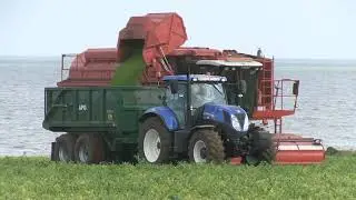 HARVESTING PEAS NEXT TO THE NORTH SEA WITH THREE PMC 989 VINERS
