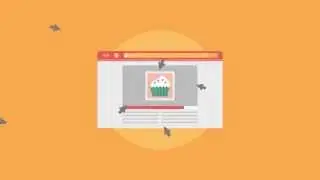 Miami Internet Marketing | Z Networks Group