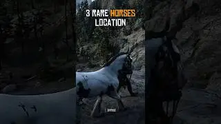 Top 3 beautiful horse in Red Dead Redemption 2