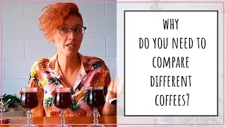 35. 3 coffee's attributes that you need reference to
