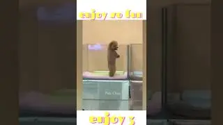 Enjoy so fun part 3 😂🤣