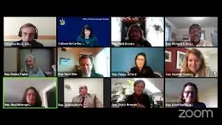 2021 01 19   HCIFS Committee Orientations 1 19 2021