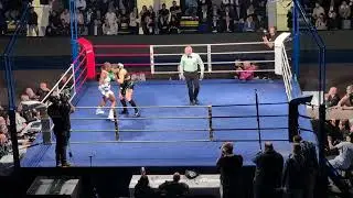 Peterle contre Mena pour le titre WBC Silver  round 1