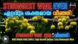 STRONGEST WINE EVER 🍷 | നെല്ലിപ്പുളി / അരിനെല്ലിക്ക വൈൻ | High Alcohol Content | Easy Homemade Wine