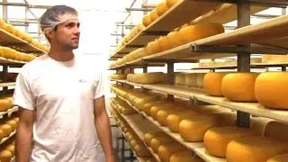 Gunn's Hill Artisan Cheeses Now Top Brands
