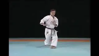 Wadokai Bassai