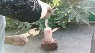2 Eno+water _Boom Reaction Experiment 🧪#water ##eno #experiment 
