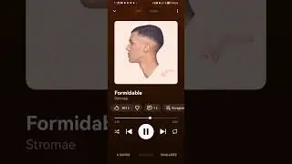 Stromae - Formidable (different voice)