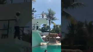 Rocco Bali Mrs Sippy High Board Dive