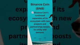 Binance Coin BNB